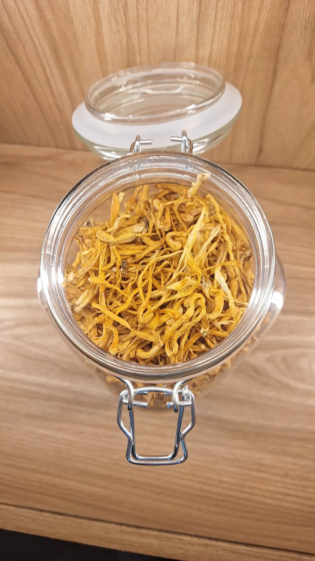 Cordyceps x Gr
