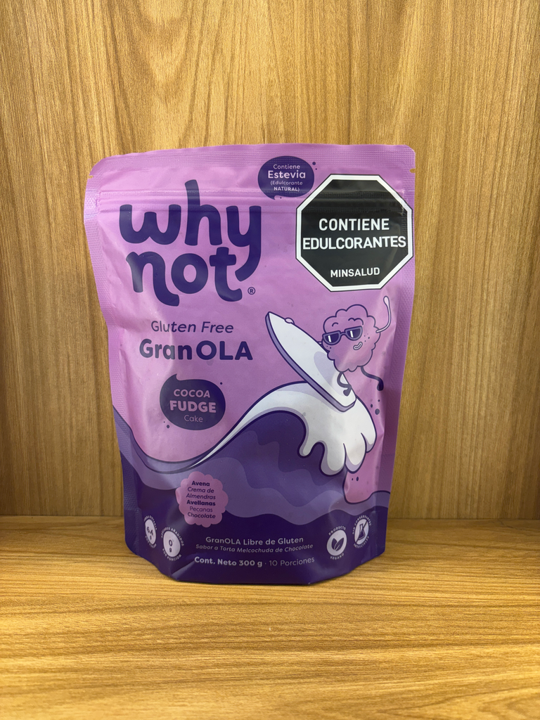 [WHYNOT-8] GranOLA FUDGE cake