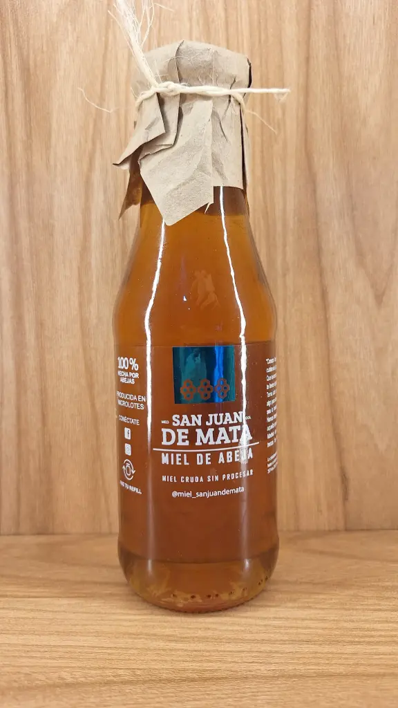 Miel de Abeja x 480g (san juan de mata)
