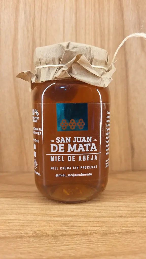Miel de Abeja x 310g (san juan de mata)