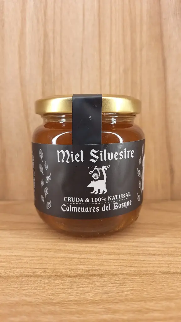 [COLMENARESDELBOSQUE-1] Miel Silvestre x 280g