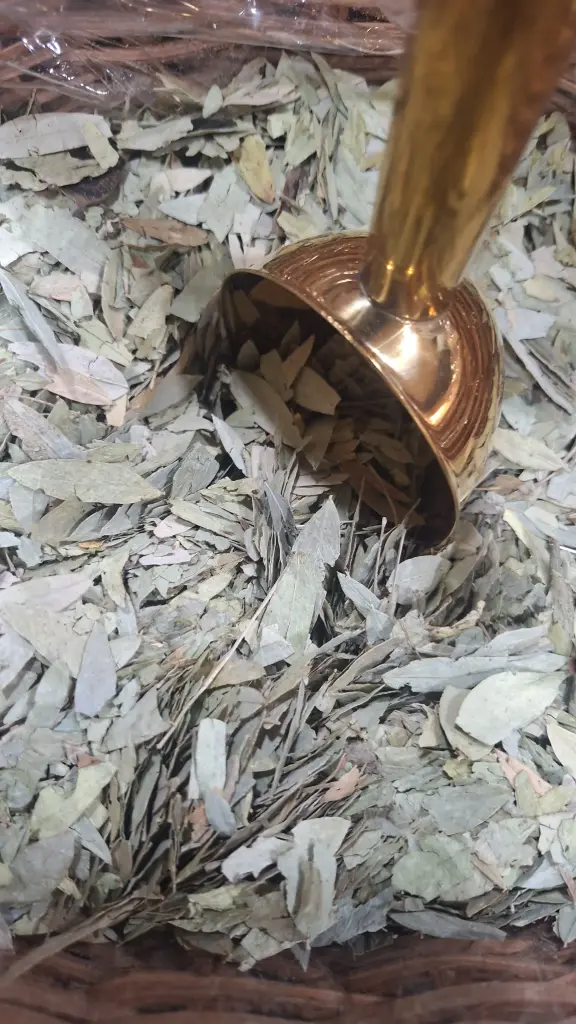 [MP-CON-002] Sen Hoja Entera x Gr