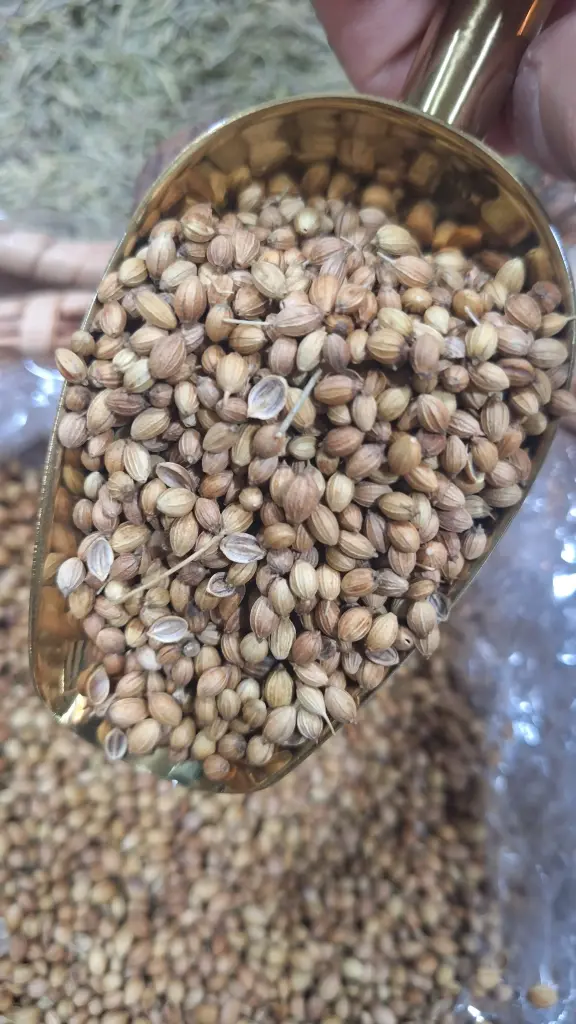 Cilantro Semilla Entera x Gr