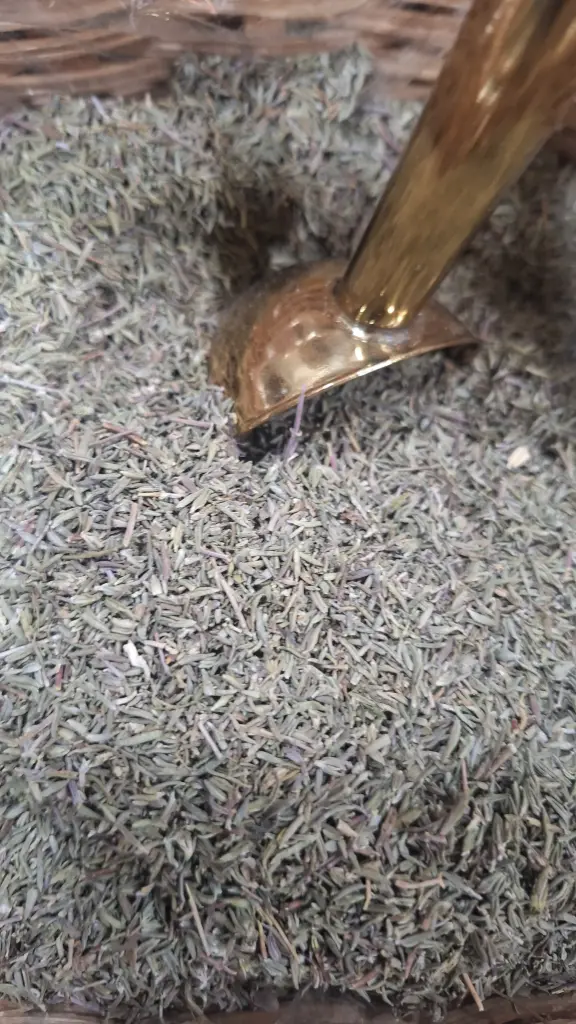 [MP-CON-026] Tomillo Picado x Gr