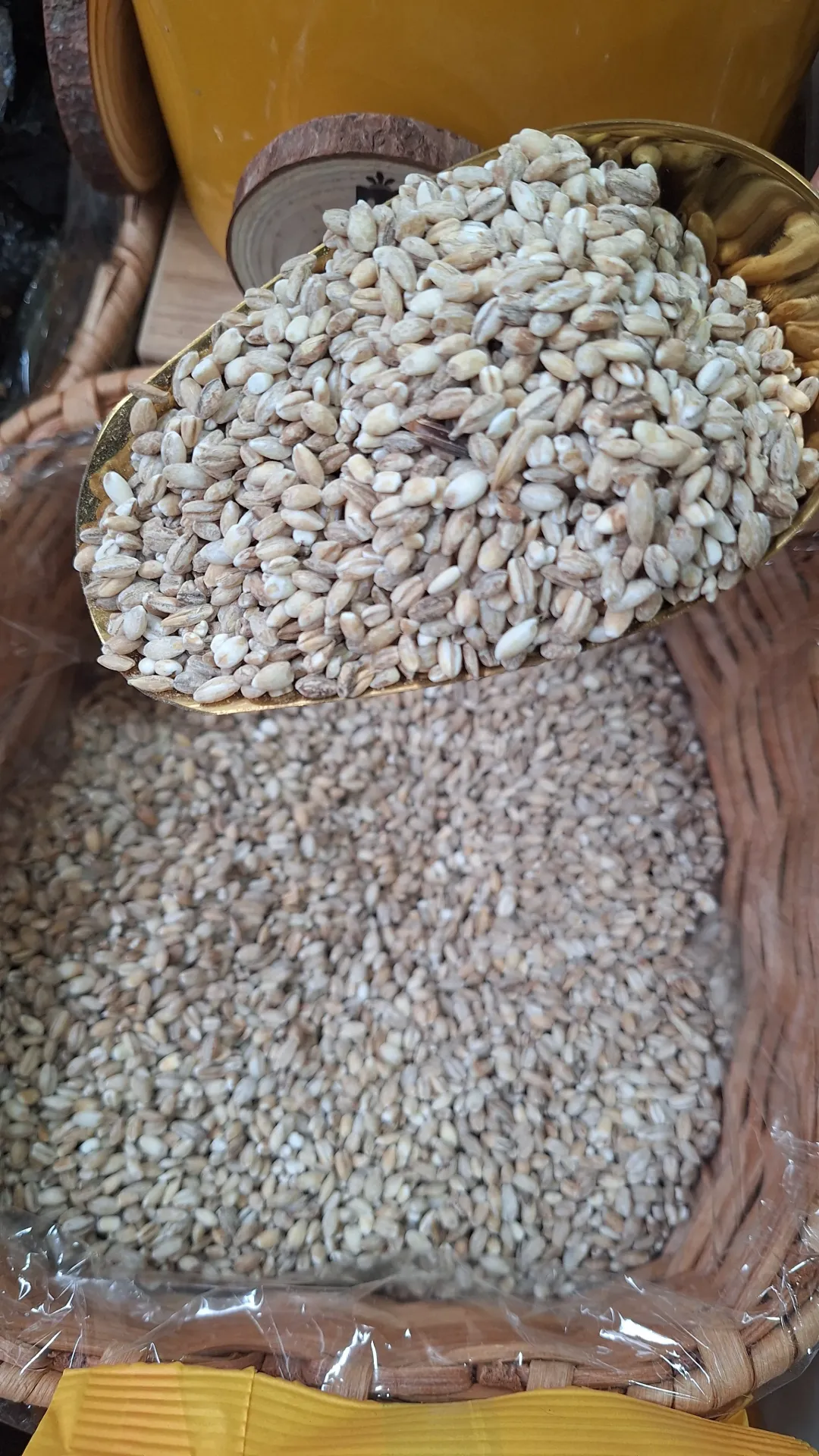 Cebada en Grano x Gr