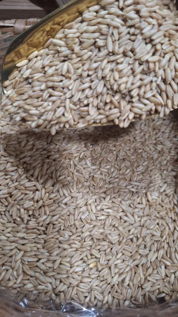 [GRANEL-025] Avena en Grano x Gr