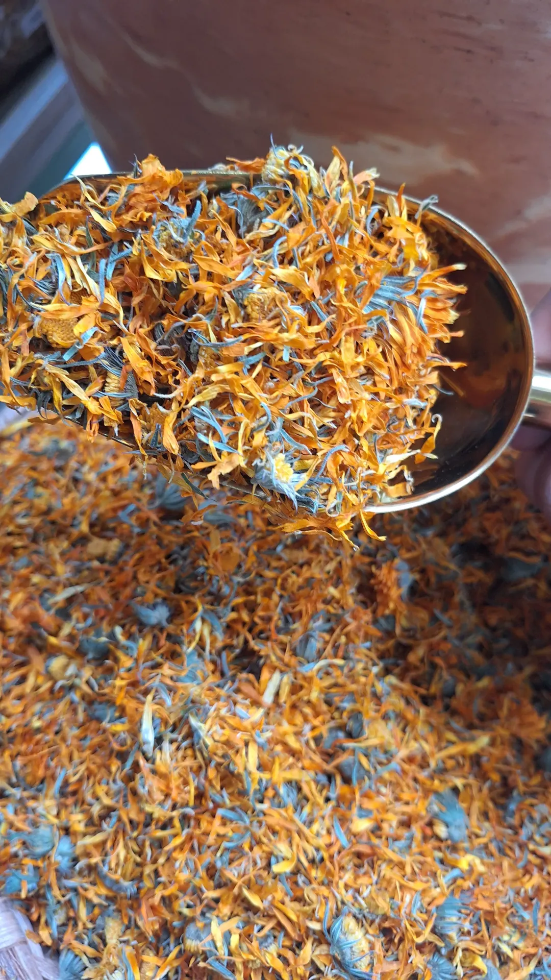 Flor de Caléndula x Gr