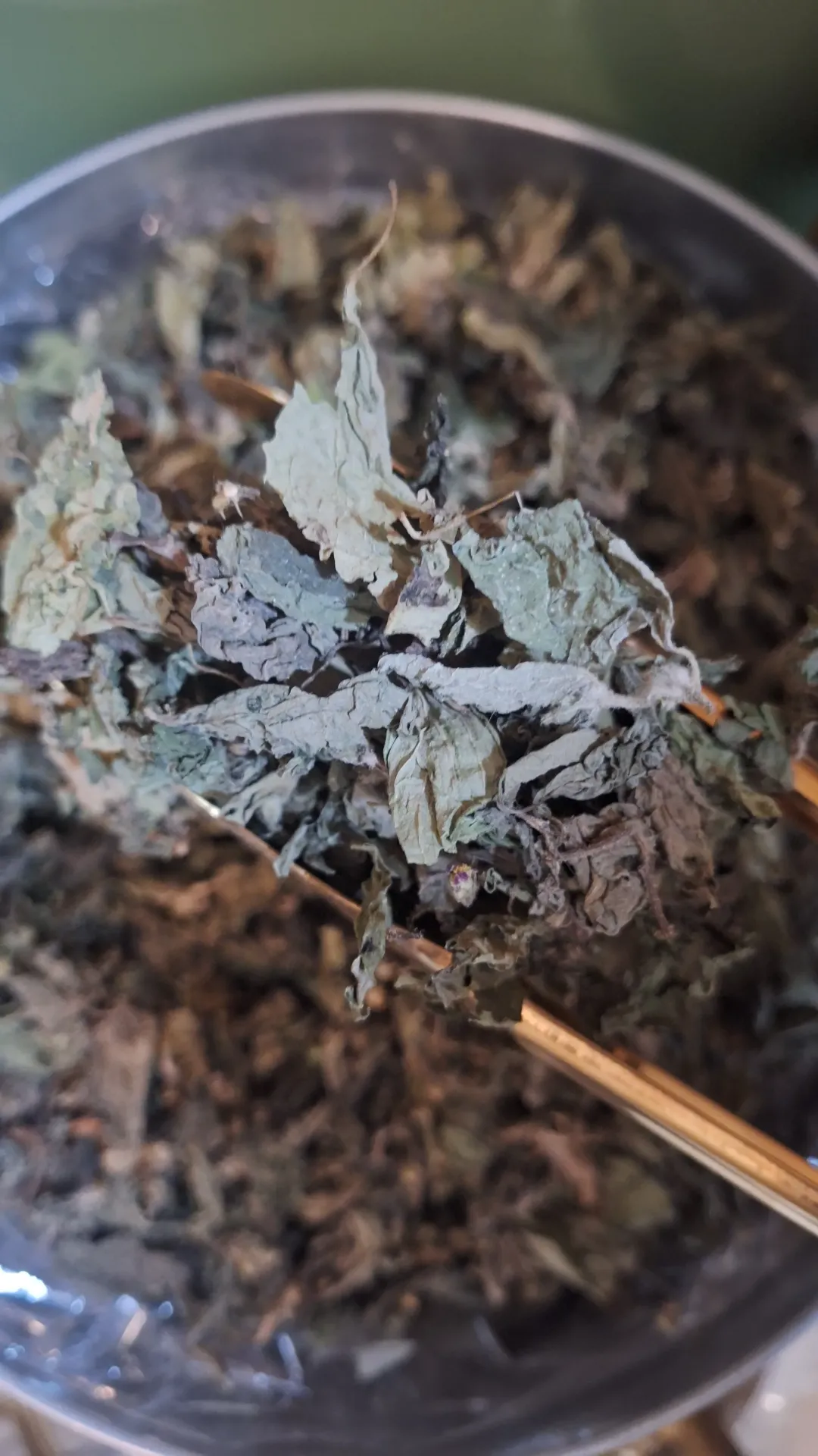 Hojas de Guasca x Gr