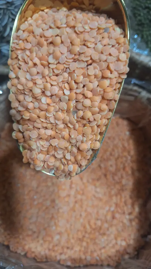 [GRANEL-043] Lenteja Rosada x Gr